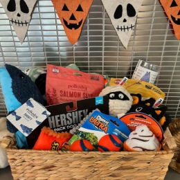 a basket of pet treats, treats, and toys