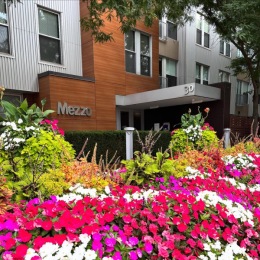 a building with many flowers